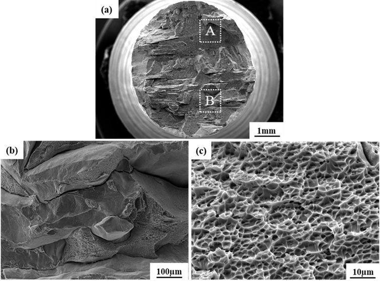 Laser stereoforming Ti40 alloy obtains excellent flame retardancy and mechanical properties Laser stereoforming Ti40 alloy obtains excellent flame retardancy and mechanical properties